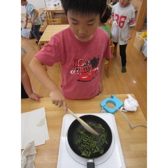 葉っぱソムリエの研究 〜第55回「わたしの保育記録」佳作〜