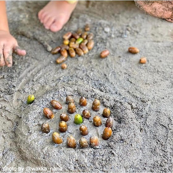 どんぐりケーキをつくりたい…？〜2020年10月のhoiclue_worldより〜 こどもの「やってみたい」って、おもしろい！