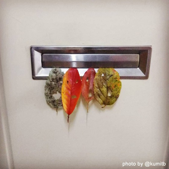 落ち葉おばけで、びっくりさせたい…？〜2020年12月のhoiclue_worldより〜 こどもの「やってみたい」って、おもしろい！