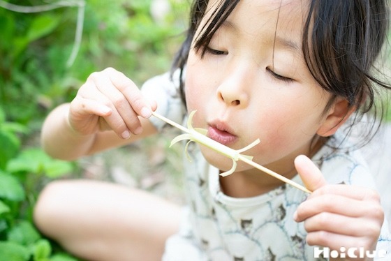 【自然遊び】たんぽぽの茎で作る！くるくる風車〜素材／たんぽぽの茎〜