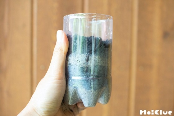 【自然遊び】ミミズの暮らしを観察してみよう！〜今回の主役／ミミズ〜