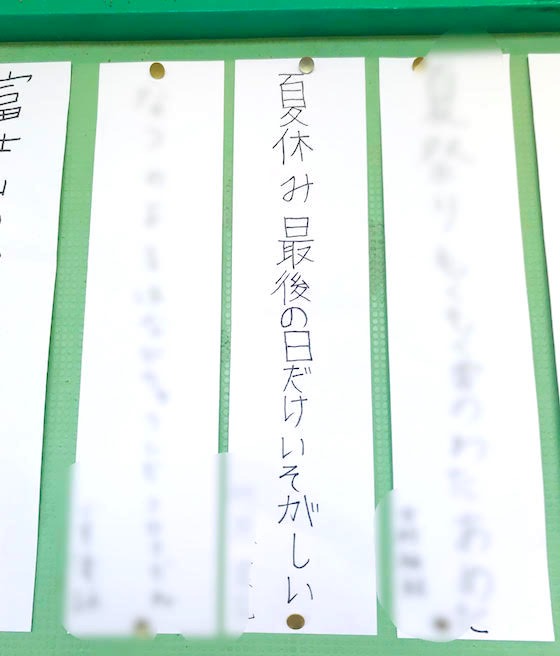 夏休み！自由研究にもつながりそうな 小学生と楽しみたいあそび