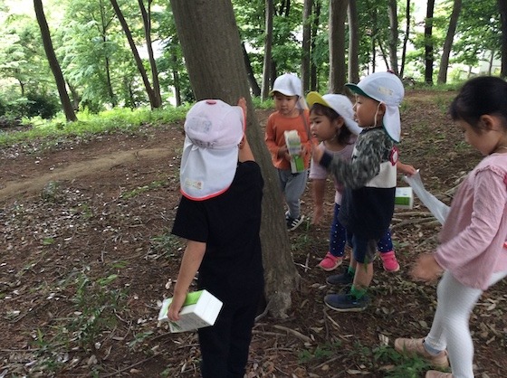 子どもたちの心のままにまちを歩いてみたら〜こどもの“やってみたい”を やってみよう／しぜんの国保育園の実践より〜