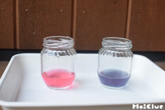 【自然遊び】アサガオ色水で楽しむ、色変化＆サイダー遊び！〜素材／アサガオの花〜
