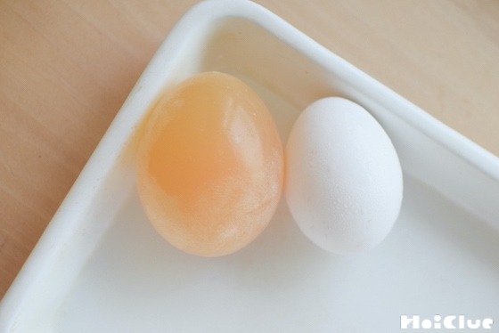 【実験遊び】半透明な“スケルトンたまご”をつくろう！〜素材／ たまご〜