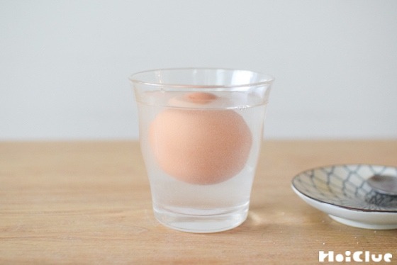 【実験遊び】塩の力で、たまごを浮かせよう！〜素材／たまご〜