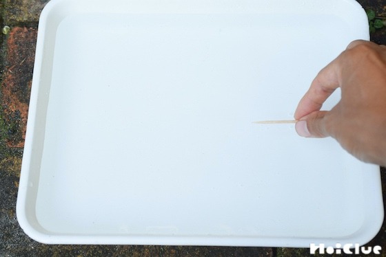 【実験遊び】進め！つまようじボート！〜素材／つまようじ〜