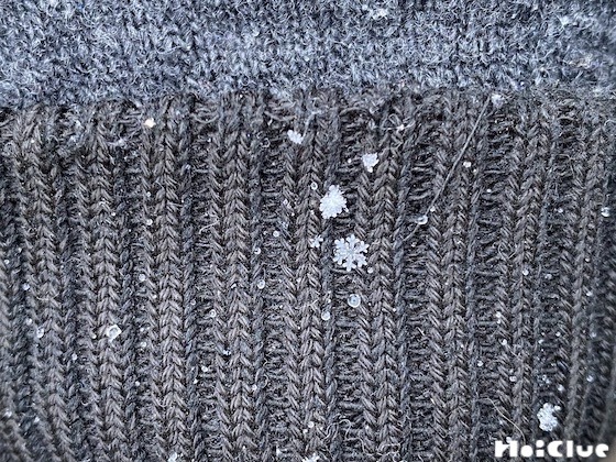 【自然遊び】雪の結晶を観察してみよう！〜素材／雪〜