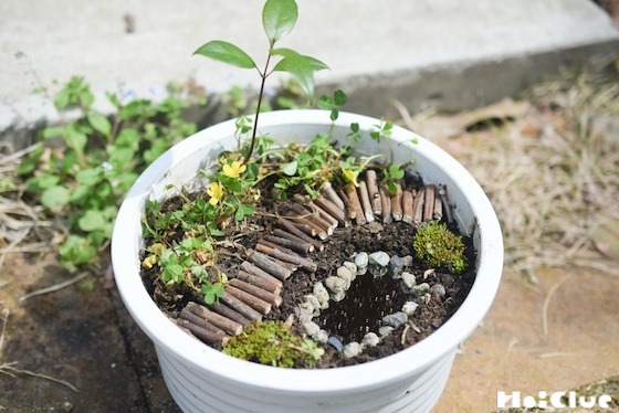【自然遊び】植木鉢でミニチュアガーデンをつくろう！〜素材／植木鉢〜