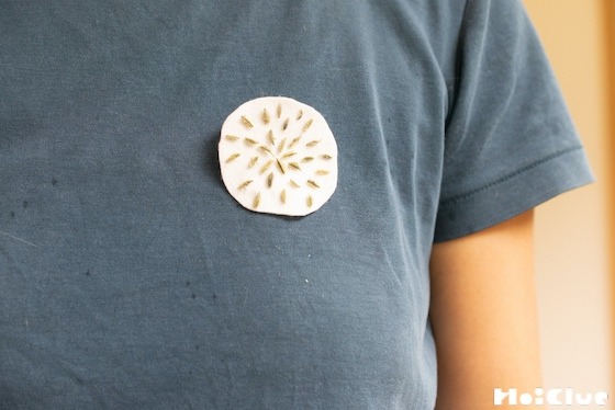 【自然遊び】オヤブジラミの実でブローチをつくろう〜素材／ オヤブジラミの実〜