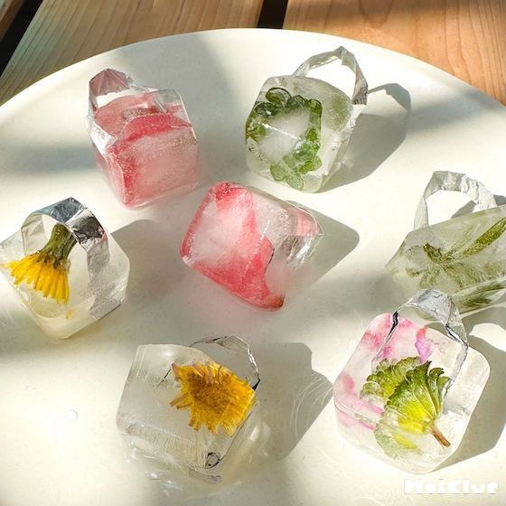 氷のゆびわ〜ツルツルきれいでひんやり冷たい、発見いろいろの感触遊び〜