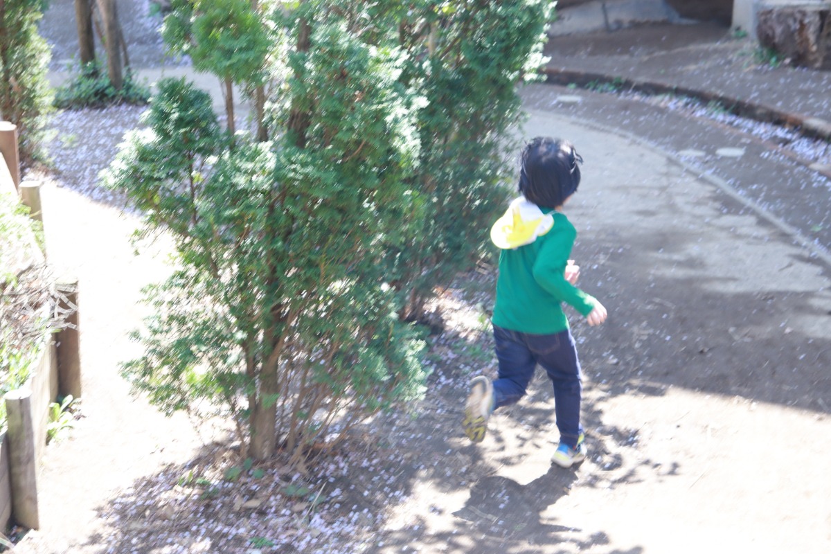 3月から4月。揺れる中で見える風景。保育者とこどもたち 〜こどもの“やってみたい”を やってみよう／しぜんの国保育園の実践より〜