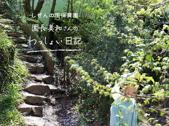 しぜんの国保育園 園長美和さんのわっしょい日記（第二回）「とるに足らないオシロイバナの種のような」