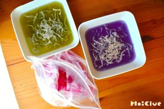 プルプル寒天遊び〜素材の変化を楽しむ、野菜で色付け感触遊び〜