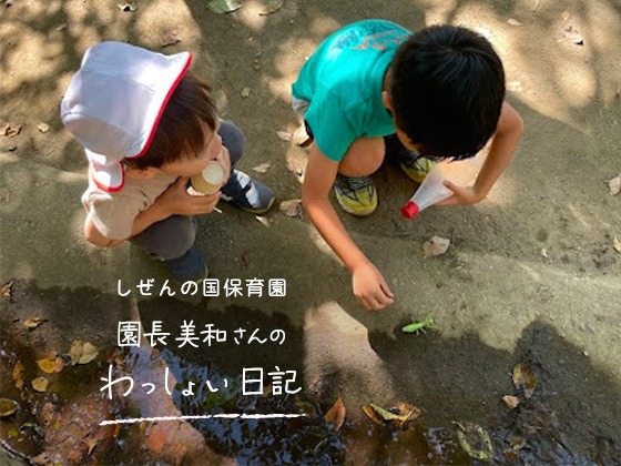 しぜんの国保育園 園長美和さんのわっしょい日記 (第六回)「バッタのお腹」 しぜんの国保育園 園長美和さんのわっしょい日記 (第六回)「バッタのお腹」