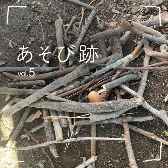 あそび跡〜子どもの世界をめぐってみよう〜 Vol.5 あそび跡〜子どもの世界をめぐってみよう〜 Vol.5