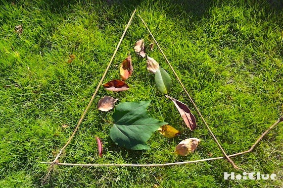 葉っぱをシュート！〜散歩先でも簡単にできる自然遊び〜