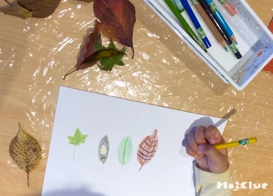 幼児期デッサンのすすめ〜観察を深める描画〜 幼児期デッサンのすすめ〜観察を深める描画〜