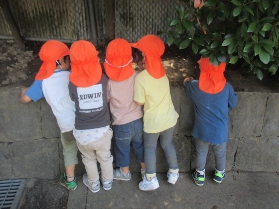 第60回 令和6年度 「わたしの保育記録」作品募集（募集は終了しました）