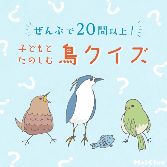 子どもとたのしむ鳥クイズ〜ぜんぶで20問以上！〜