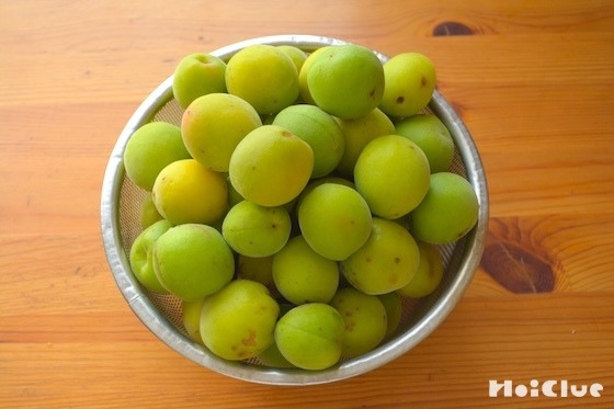 梅の実の音あそび〜夏の始まりを感じる自然遊び〜