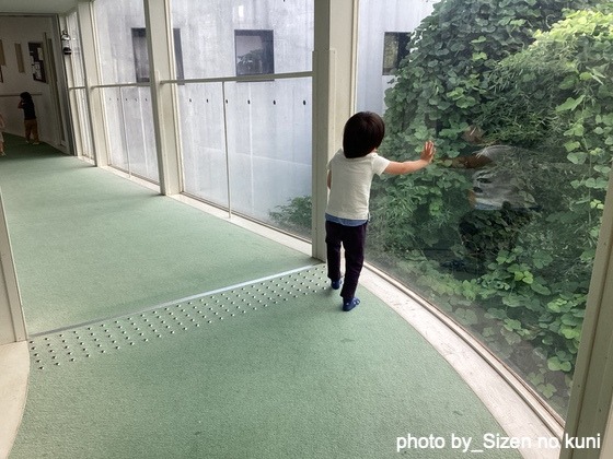 出会う・つながる緑の道（東京都町田市ーしぜんの国保育園）