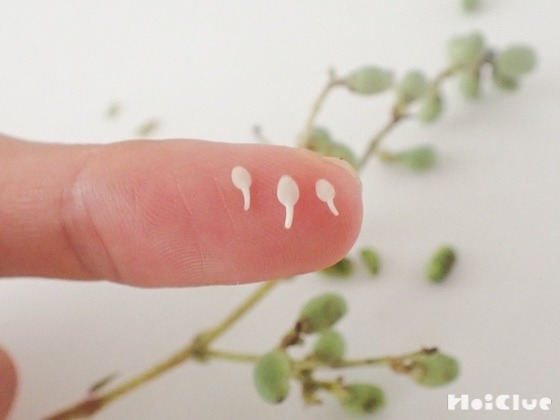 スプーンが出てくる！？ネズミモチの実を割ってみよう〜素材／ネズミモチの実〜