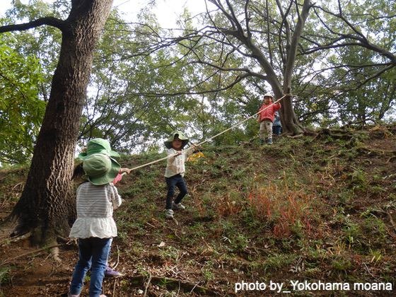 ロープをつたって(神奈川県横浜市ーよこはま・もあな保育園) ロープをつたって(神奈川県横浜市ーよこはま・もあな保育園)