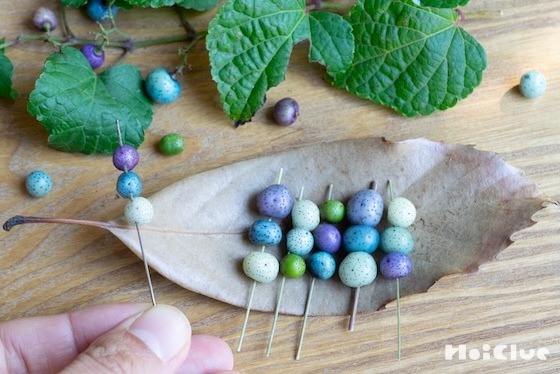 ノブドウの実で串だんご遊び・リース作り〜素材／ノブドウ〜