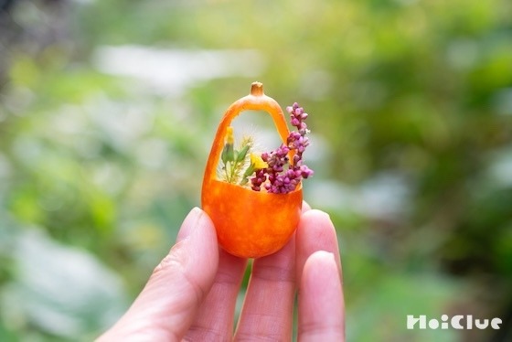 カラスウリで作る、こびとのバスケット〜素材／カラスウリ〜