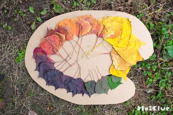 ナンキンハゼのパレット〜素材／ナンキンハゼの落ち葉〜