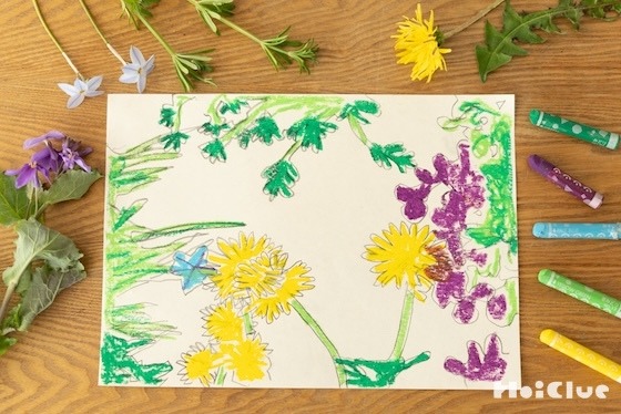 草花の影をなぞって、絵を描いてみよう〜素材／春の草花〜