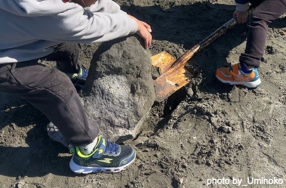 この石を動かしたい！（神奈川県逗子市ーうみのこ）