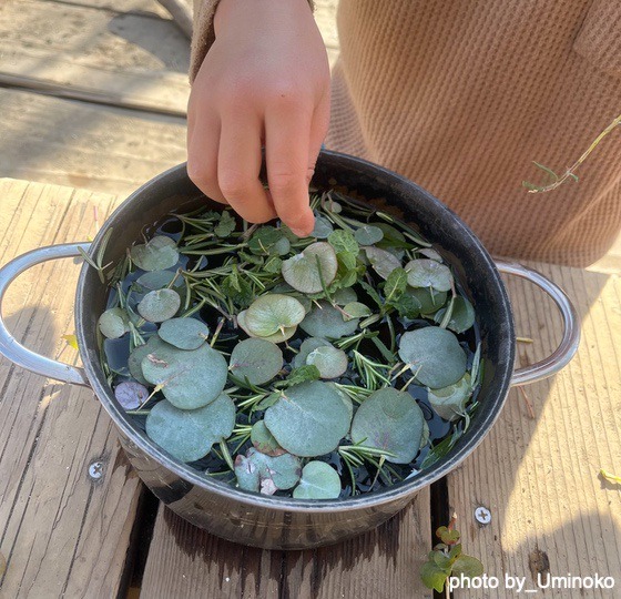 遊びが生まれるタイミング（神奈川県逗子市ーうみのこ）