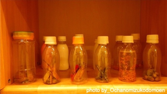 秋の自然物で遊ぶ（東京都文京区ーお茶の水女子大学こども園）