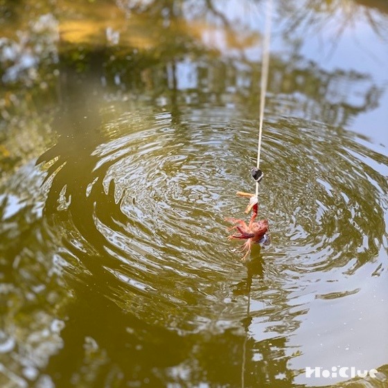 ザリガニ釣りの竿のつくり方〜小学生ななおっちの工作部屋#04〜