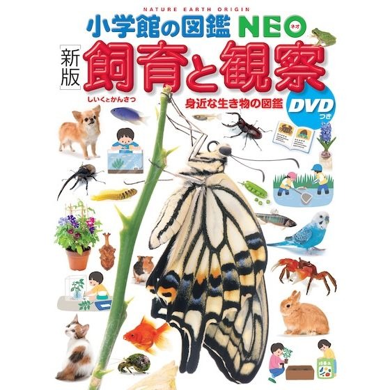 書籍紹介】小学館の図鑑NEO［新版］飼育と観察 | 保育と遊びの
