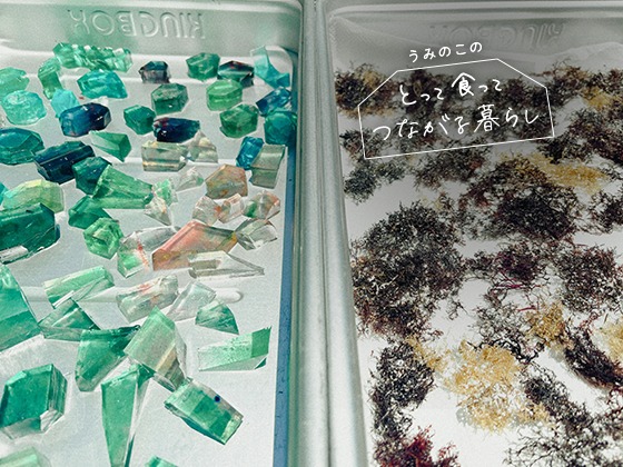 「宝石屋さんやりたい！」海辺から広がる子どもたちの夏：うみのこのとって食ってつながる暮らしVol.6