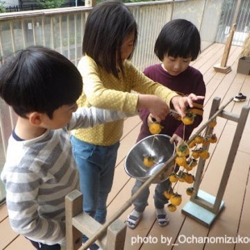 干し柿をつくろう！（東京都文京区ーお茶の水女子大学こども園）