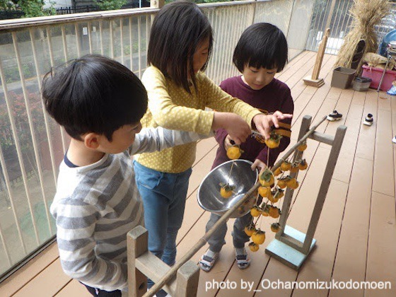 干し柿をつくろう！（東京都文京区ーお茶の水女子大学こども園）