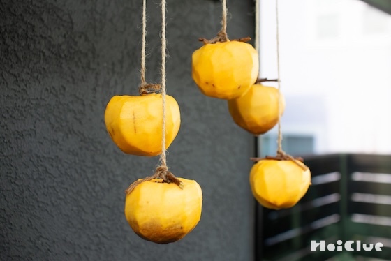 甘〜い干し柿を作ってみよう〜素材/渋柿〜 甘〜い干し柿を作ってみよう〜素材/渋柿〜