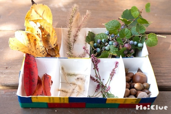 秋の宝物を集めよう！自然の宝箱づくり〜素材／紙パック〜