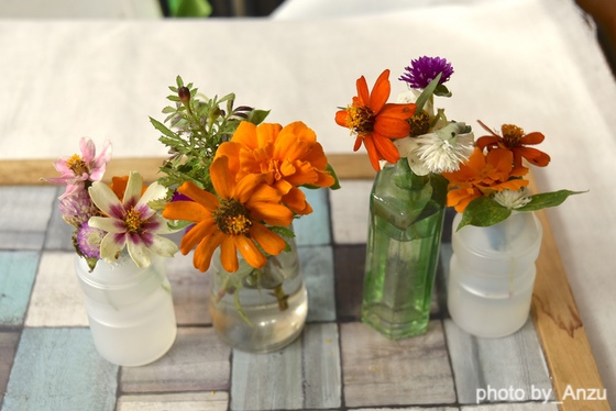 季節感のある暮らし（埼玉県入間市ーあんず幼稚園）