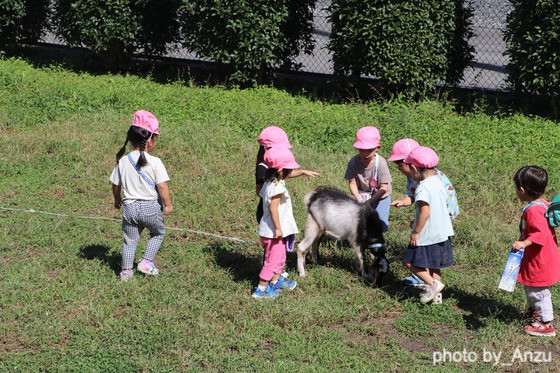 生きものとの暮らし（埼玉県入間市ーあんず幼稚園）