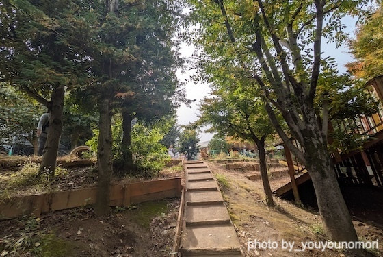 生きものをそばに感じる園庭（神奈川県横浜市ーゆうゆうのもり幼保園）
