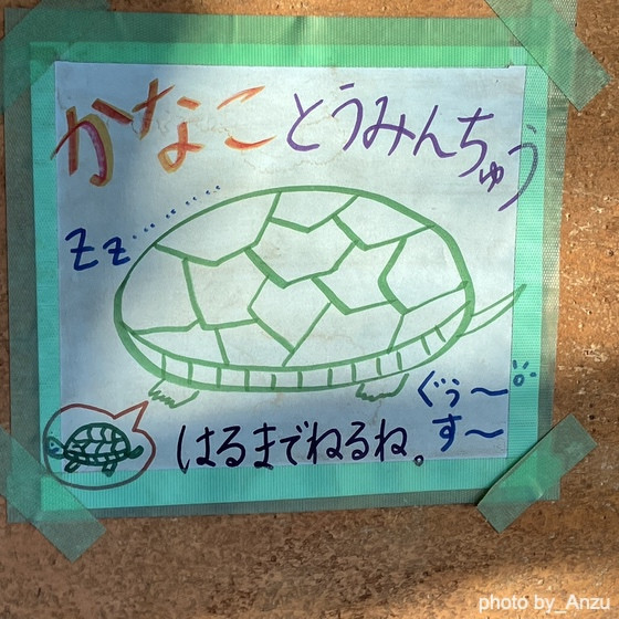 春になるまでおやすみなさい（埼玉県入間市ーあんず幼稚園）