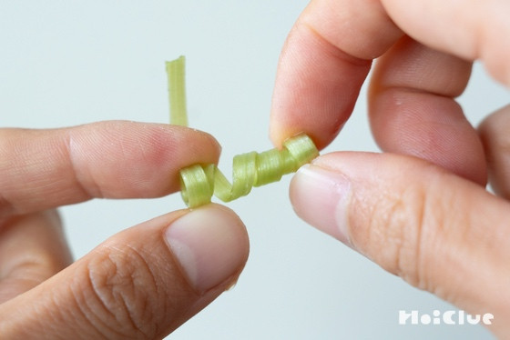 たんぽぽの茎がクルクル、バネになる？〜水で変身、実験遊び〜