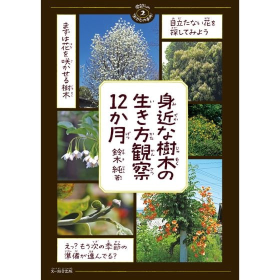 身近な樹木の生き方観察12か月（季節の生きもの事典2 ）/ほいくる編集部の本棚より