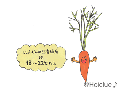 ミニニンジン～プランターで育てられる、ミニミニ野菜～