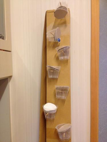 カパカパ！ローラーカップ〜繰り返し遊びたくなっちゃう製作おもちゃ〜